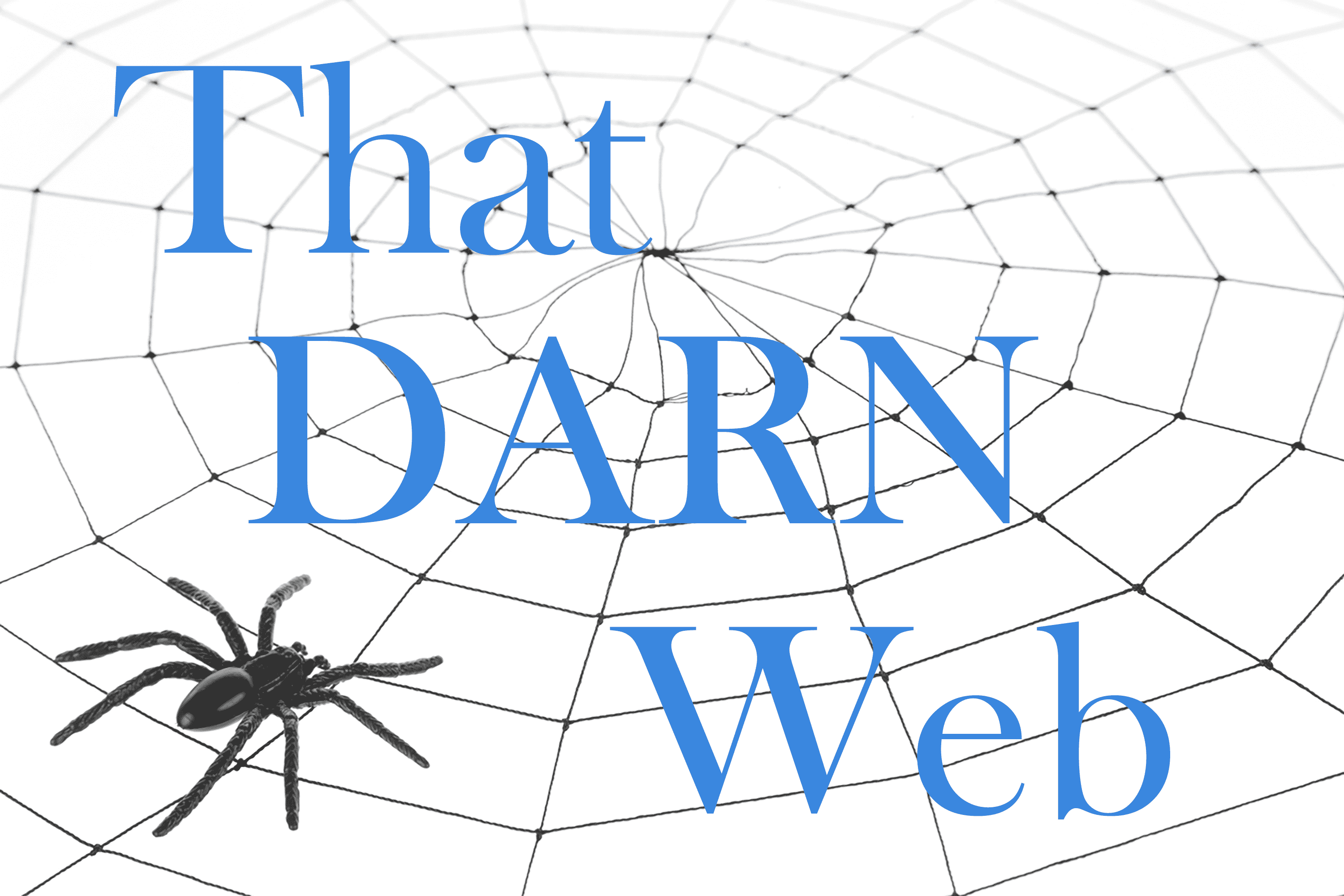 That Darn Web